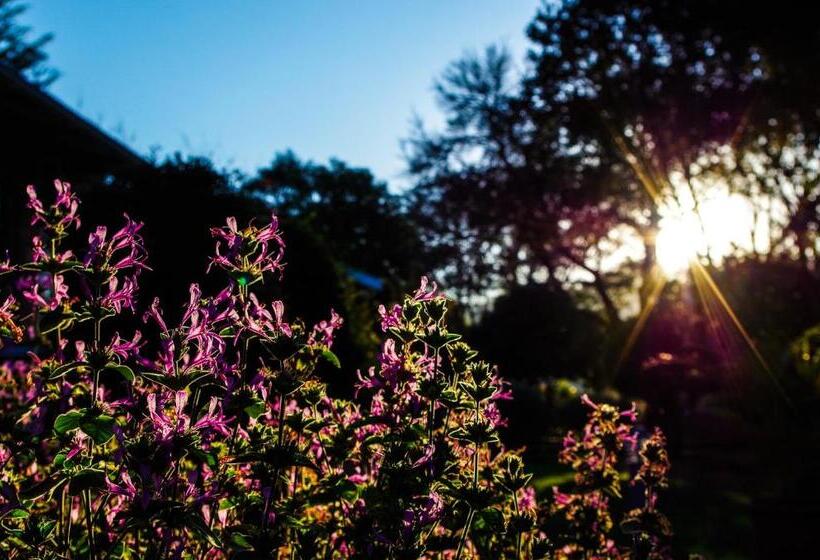 The Manderson Hotel And Conference Centre