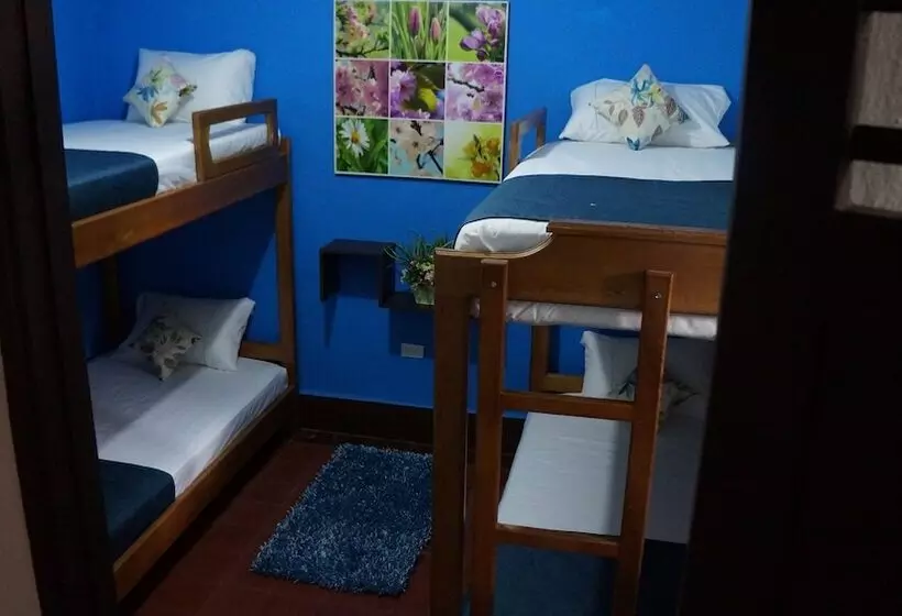 Hotelli El Jardin De La 10   Hostel