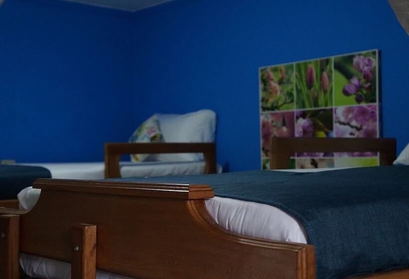 هتل El Jardin De La 10   Hostel