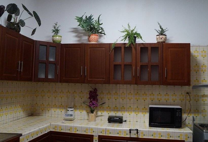 هتل El Jardin De La 10   Hostel