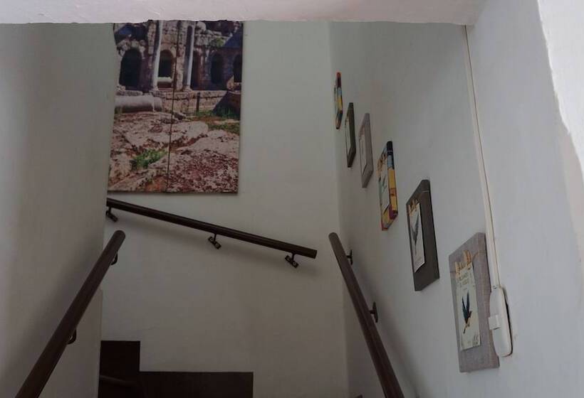 هتل El Jardin De La 10   Hostel