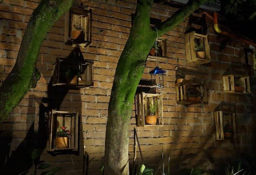 هتل El Jardin De La 10   Hostel