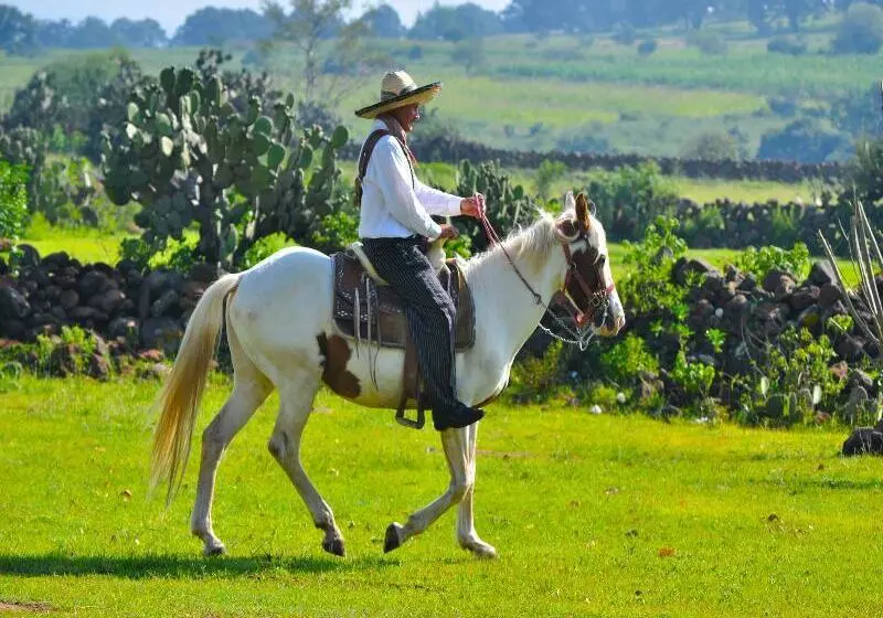 ホテル Mision La Muralla