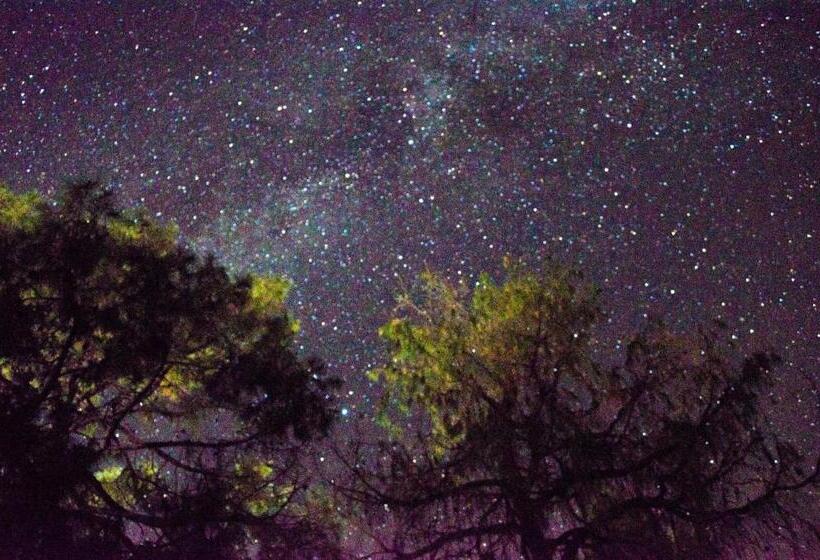 فندق Cabañas Los Portales Barrancas Del Cobre