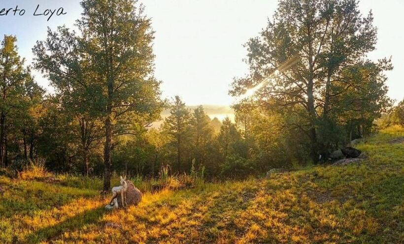 فندق Cabañas Los Portales Barrancas Del Cobre