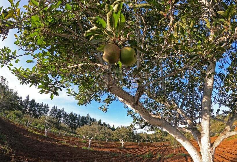 هتل Cabañas Rancho El Mayab
