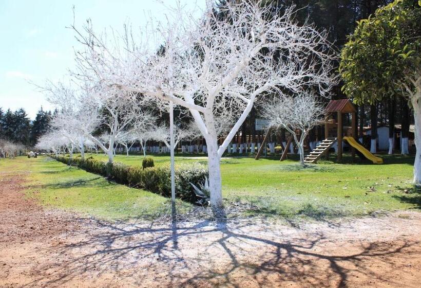 هتل Cabañas Rancho El Mayab