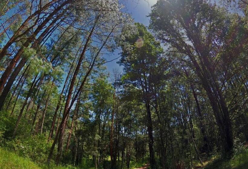 هتل Cabañas Rancho El Mayab