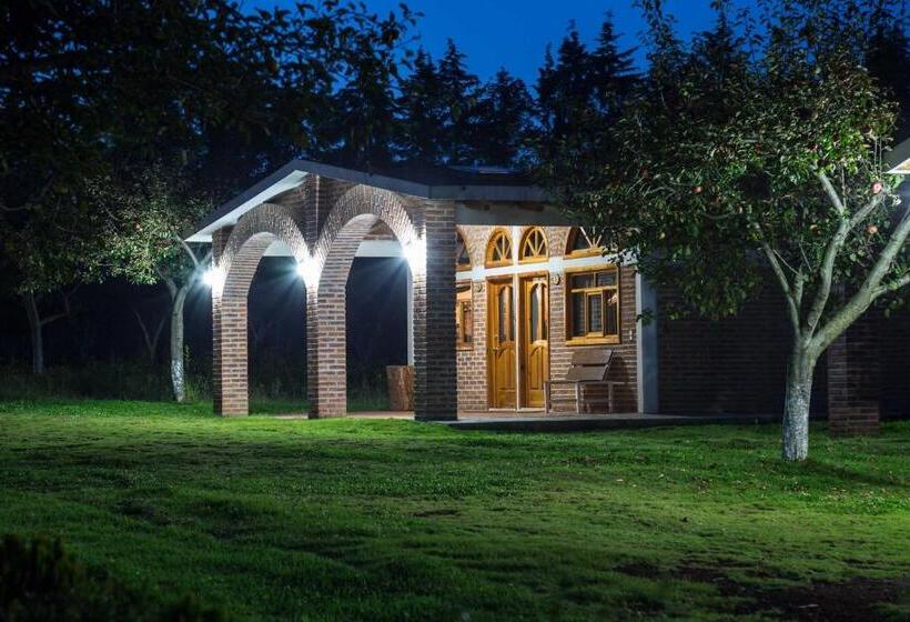 هتل Cabañas Rancho El Mayab