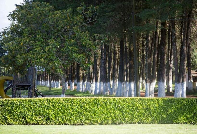 هتل Cabañas Rancho El Mayab