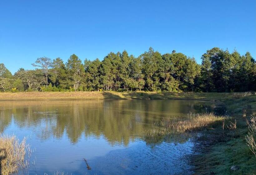 هتل Cabañas Rancho El Mayab