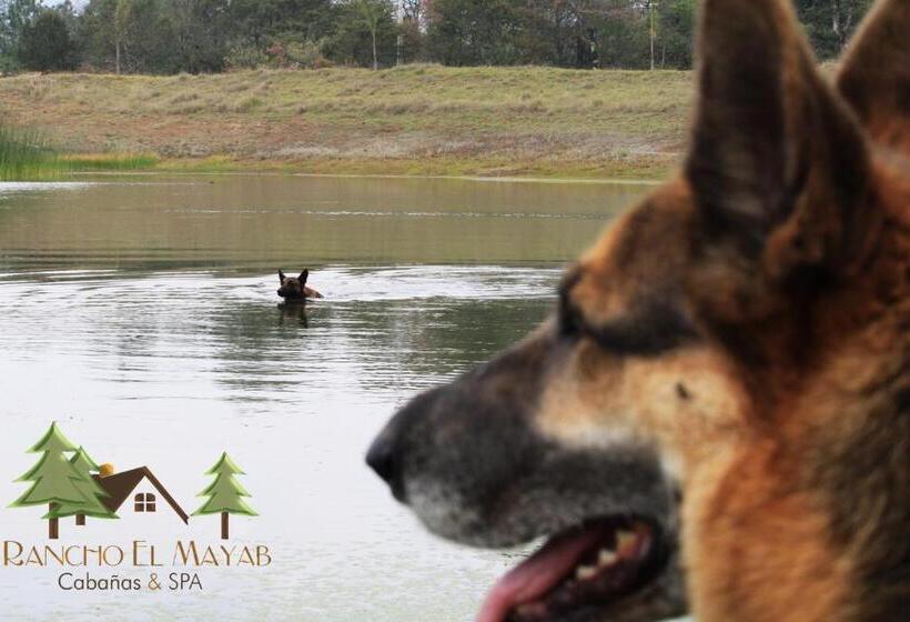 هتل Cabañas Rancho El Mayab