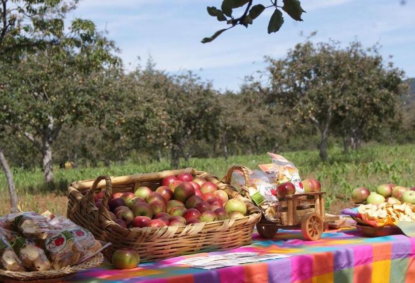 هتل Cabañas Rancho El Mayab