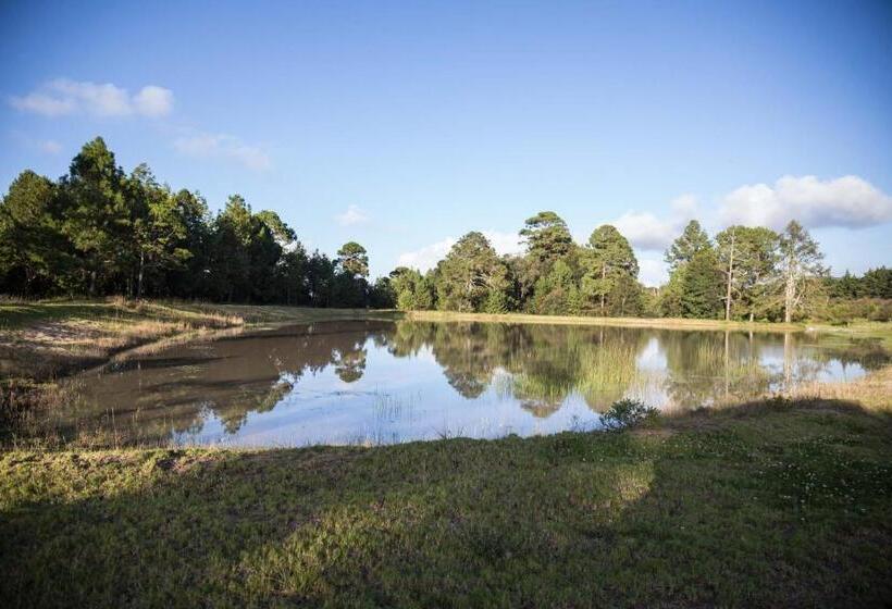 هتل Cabañas Rancho El Mayab