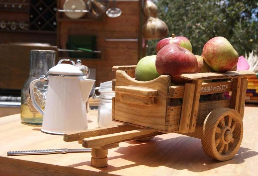 هتل Cabañas Rancho El Mayab