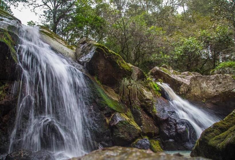 هتل Cabañas Rancho El Mayab