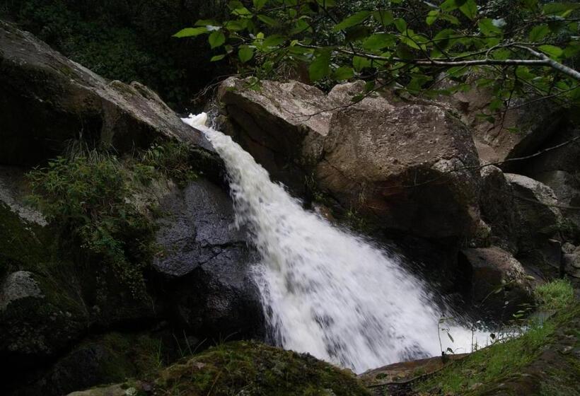 هتل Cabañas Rancho El Mayab