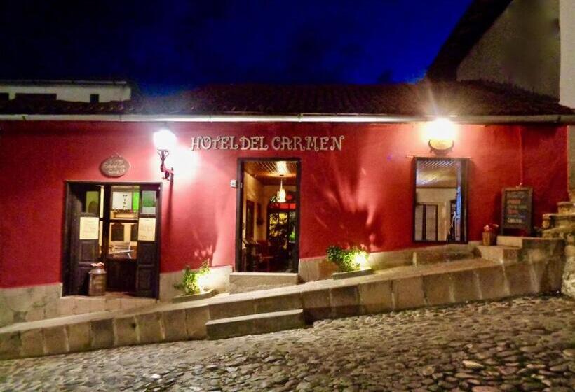 هتل Del Carmen