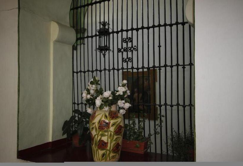 Hotelli Monte Alban Solo Adultos