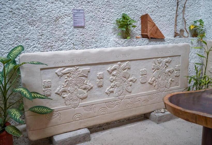فندق Museo Xibalba