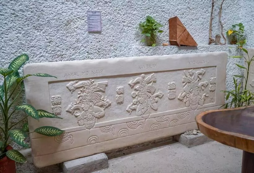 هتل Museo Xibalba
