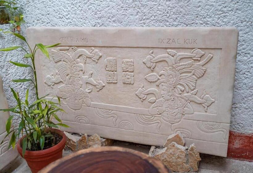 فندق Museo Xibalba