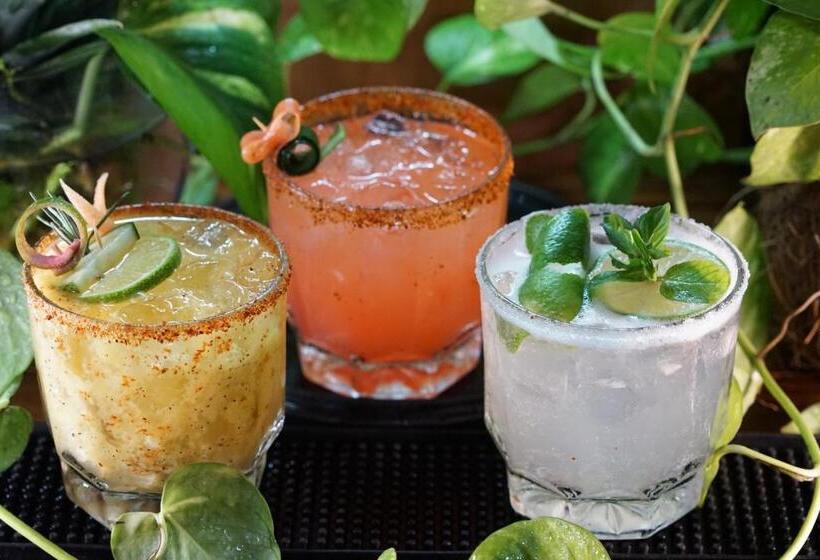 فندق Selina Sayulita