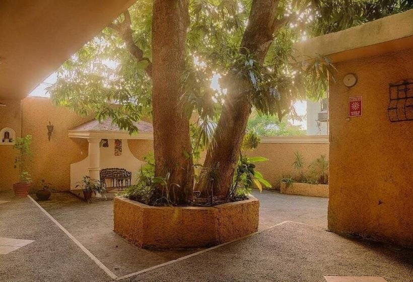 Szálloda Suites Ejecutivas