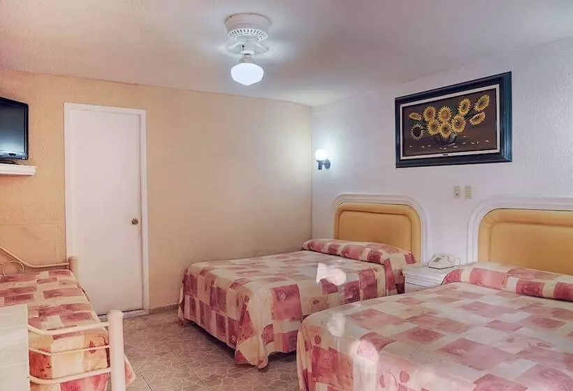 ホテル Suites Ejecutivas