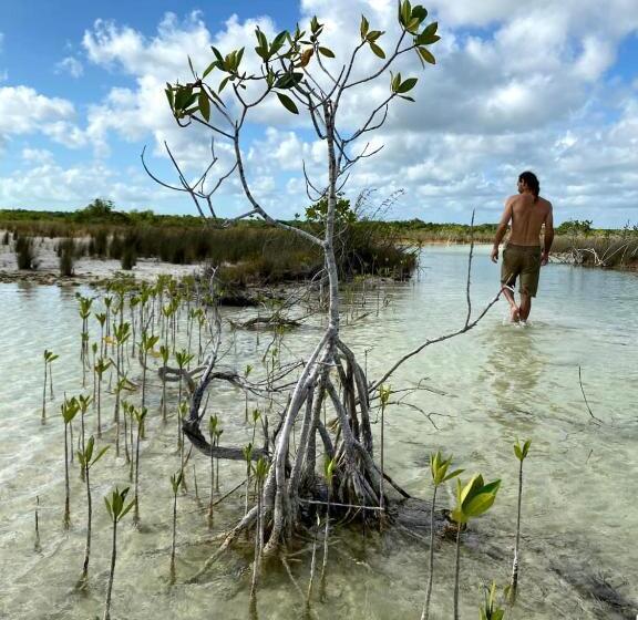 هتل Villas Ecotucan