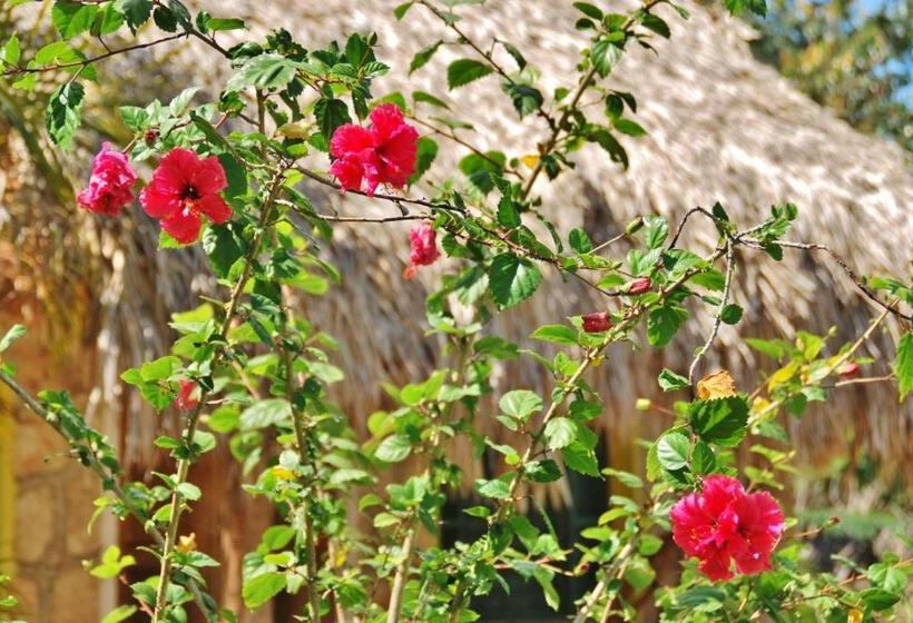 هتل Villas Ecotucan