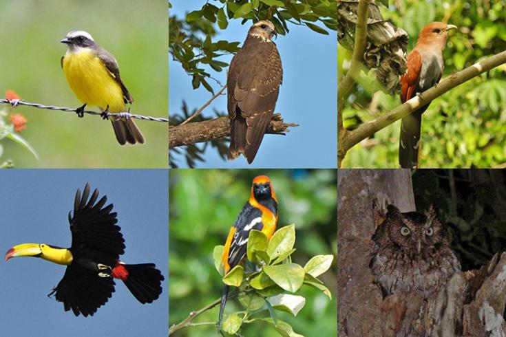 هتل Villas Ecotucan