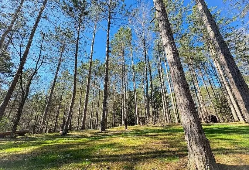 Boyer S Pond Campground
