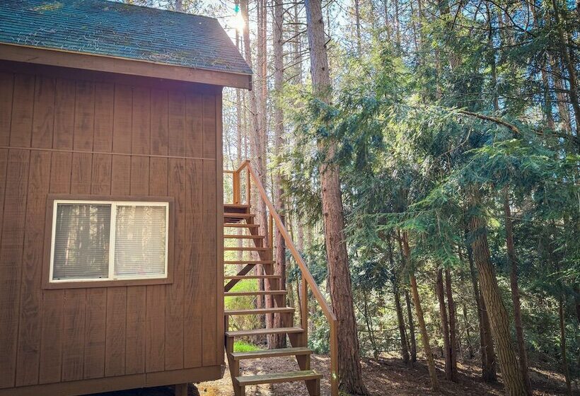 Boyer S Pond Campground