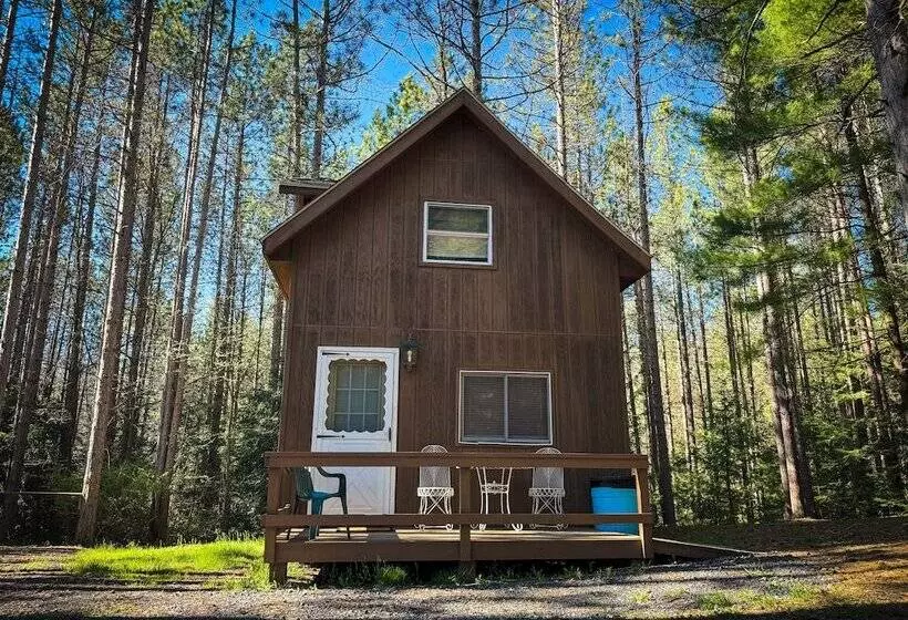 Boyer S Pond Campground