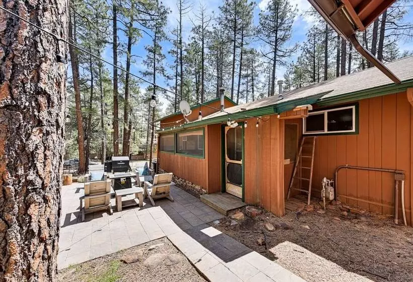 Forest Views & Fire Pit: Cozy Pine Cabin