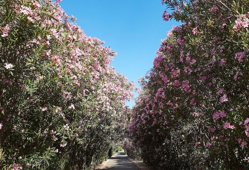 בית מלון כפרי Voi Tanka Selected