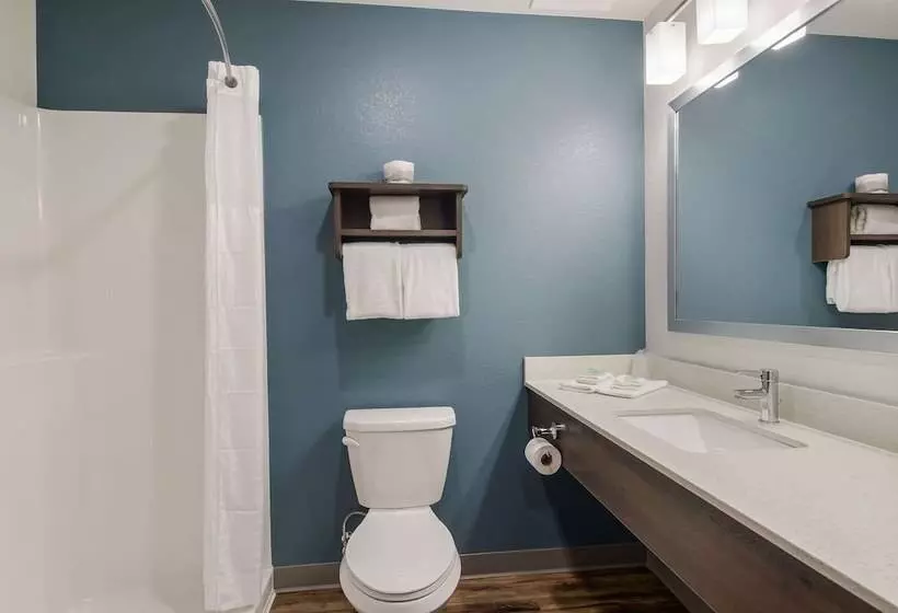 هتل Woodspring Suites Savannah West Chatham Parkway