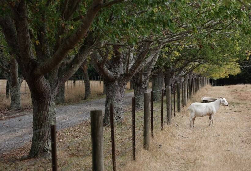 Stayau 3br Quaint Countryside Cottage