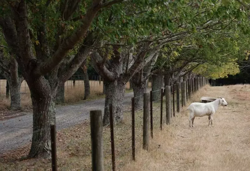 Stayau 3br Quaint Countryside Cottage