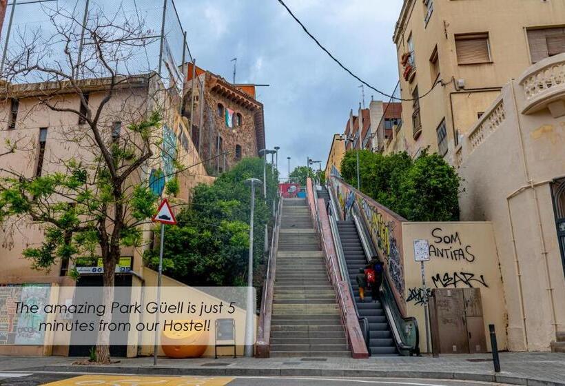 تختخواب و صبحانه Verdi 254