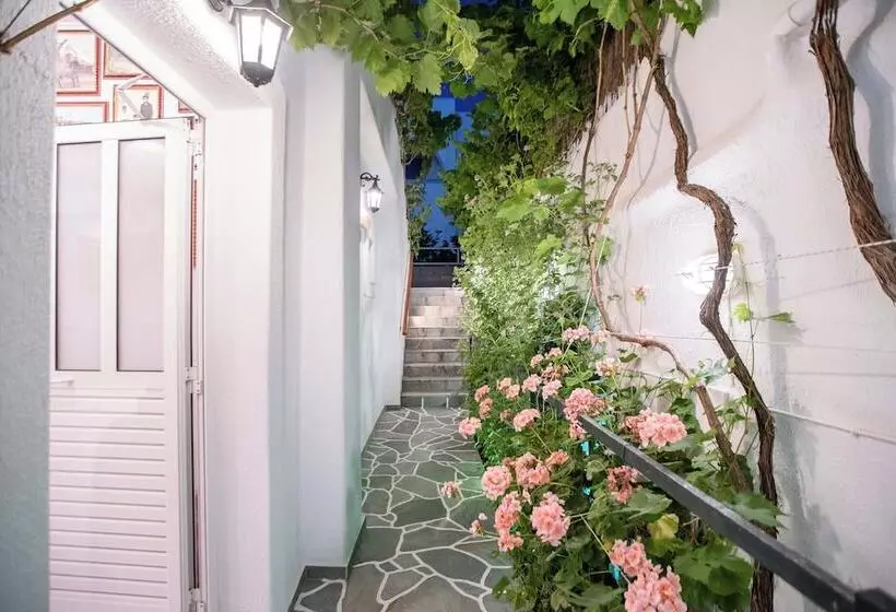 Majatalo Room In Apartment   Comfort Double Or Twin Room Semi Basement