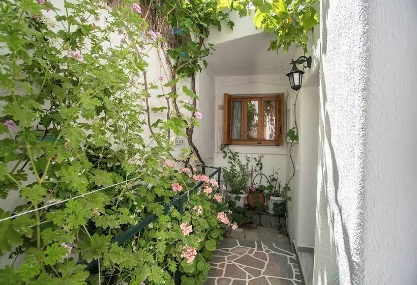 Majatalo Room In Apartment   Comfort Double Or Twin Room Semi Basement