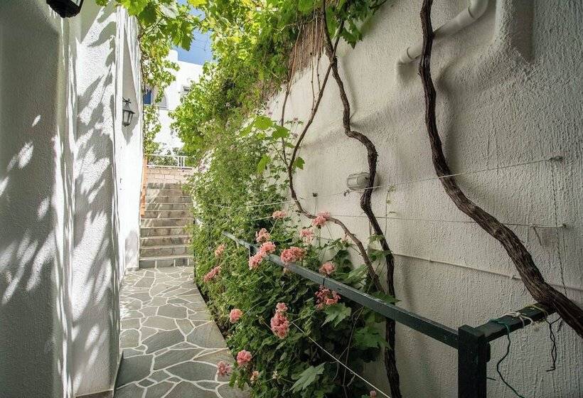 پانسیون Room In Apartment   Comfort Double Or Twin Room Semi Basement