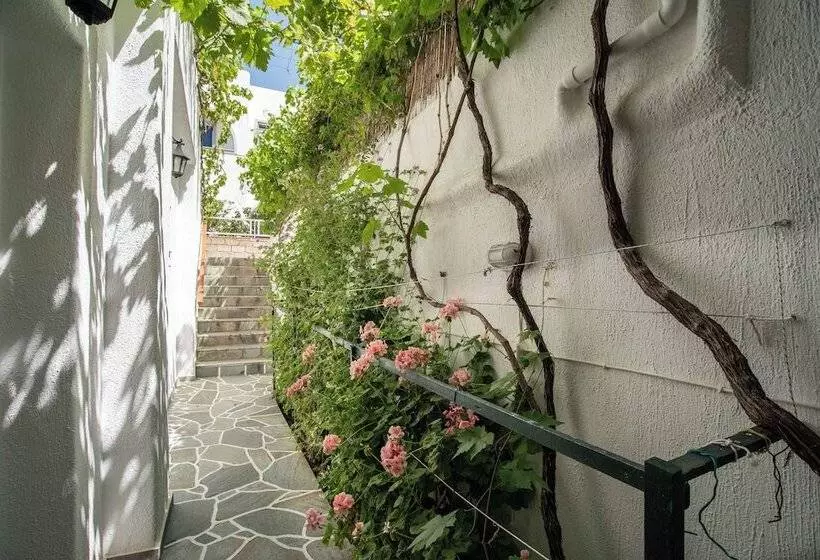 Majatalo Room In Apartment   Comfort Double Or Twin Room Semi Basement