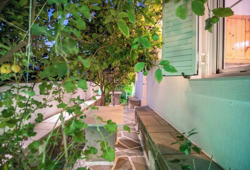 پانسیون Room In Apartment   Comfort Double Or Twin Room Semi Basement