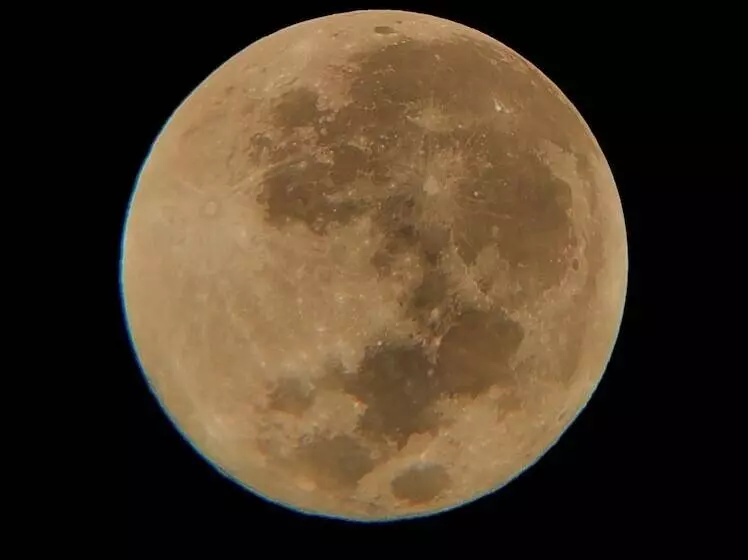 هتل Tusk And Roar Corbett Resort