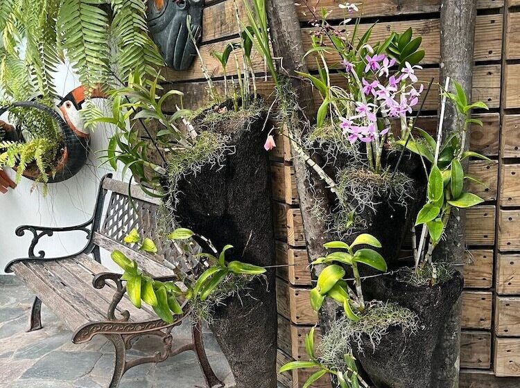 هاستل Batey Hotel Boutique