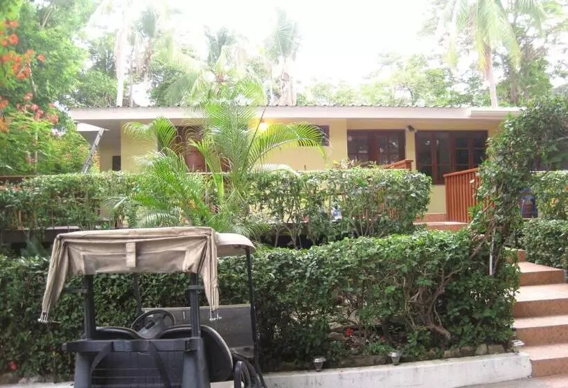 تختخواب و صبحانه Contadora Island Inn