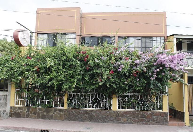 تختخواب و صبحانه Hostal Don Guillermo